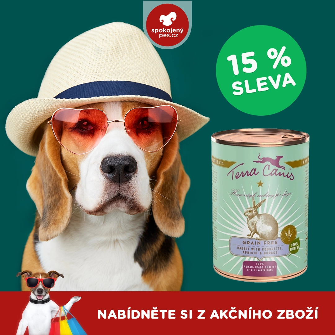 dog terra.webp